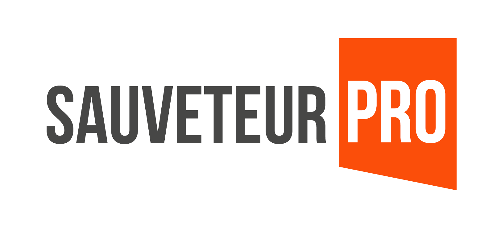 Sauveteur Pro